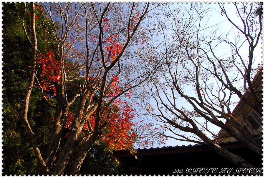 http://i.dcview.tw/gallery/201201/c7c73b5cce1e690de9641bfac8856cba.jpg