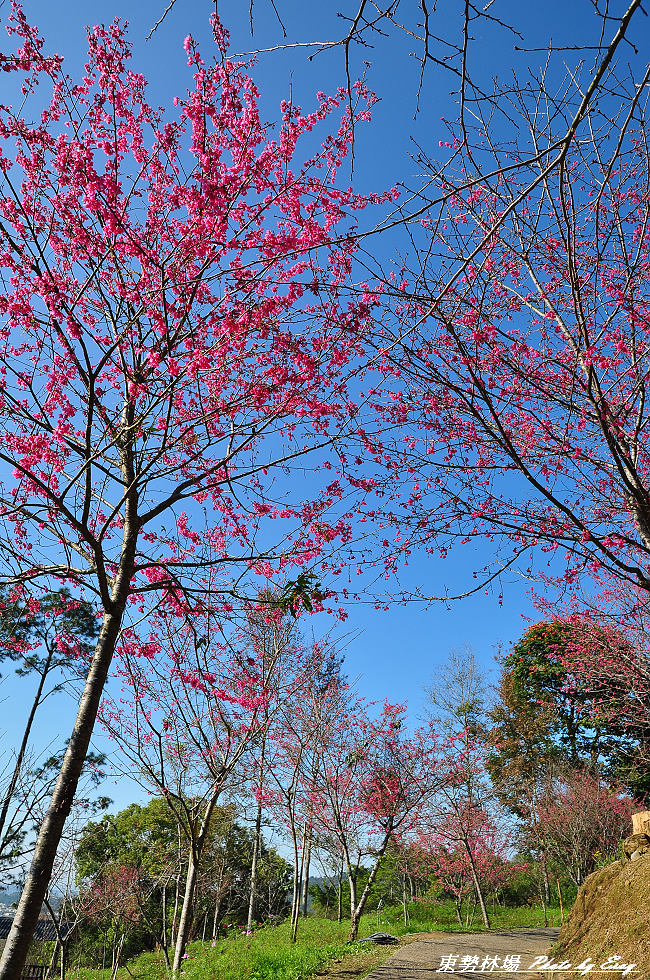 http://i.dcview.tw/gallery/201201/cbcea8208464e55f9980a0ebf93341ca.jpg