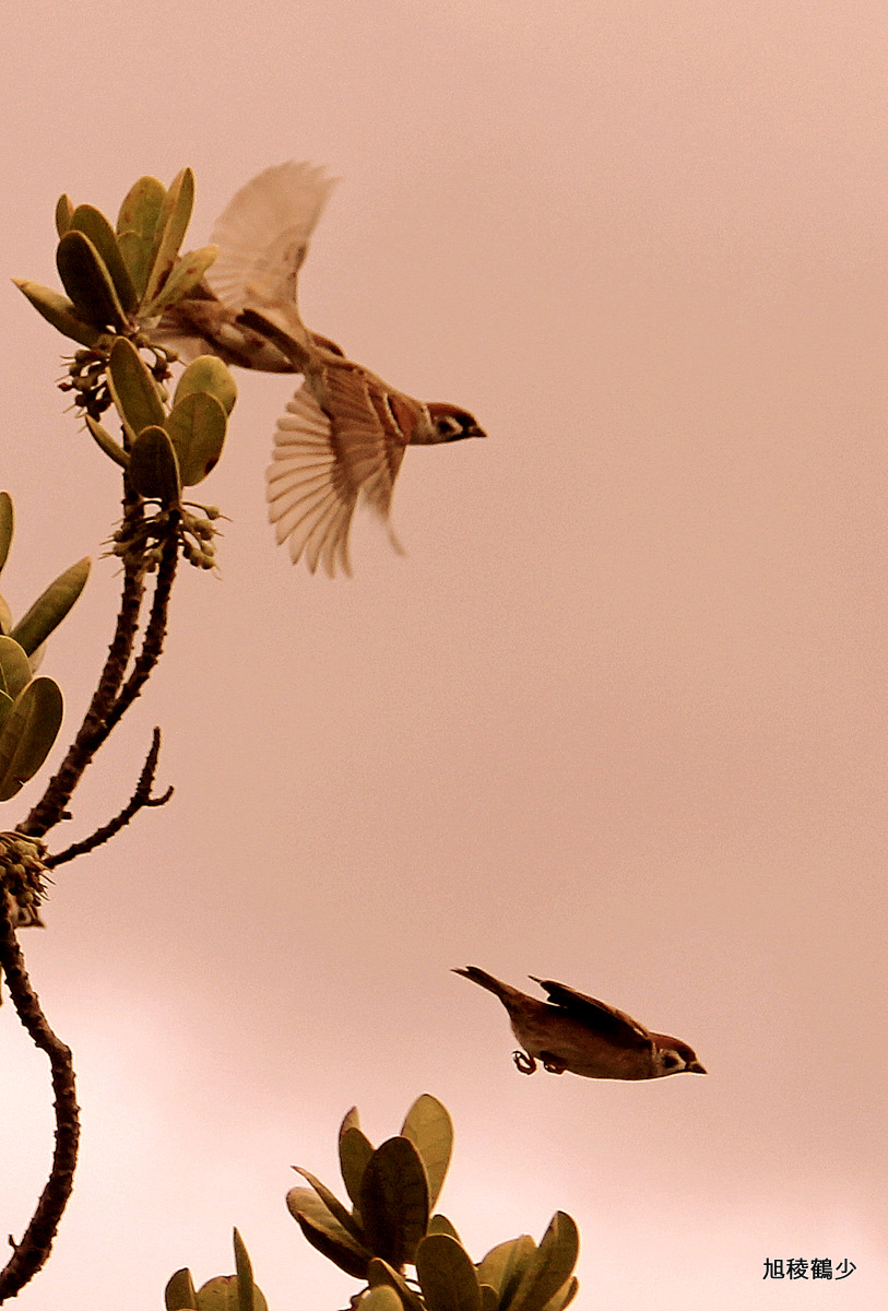 http://i.dcview.tw/gallery/201201/ceb465517ec0e60b0ca98f7bd3a4b88c.jpg