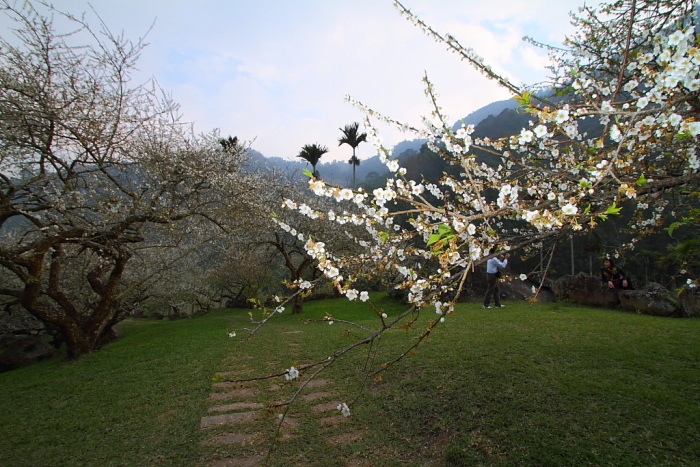 http://i.dcview.tw/gallery/201201/d3d858131a39a339bd38931c9d91b976.jpg