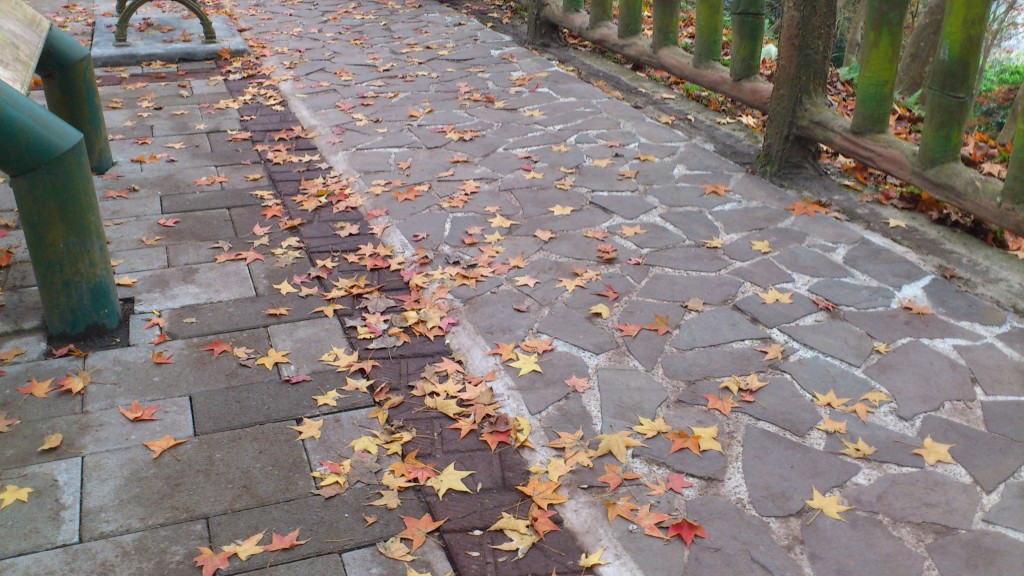 http://i.dcview.tw/gallery/201201/d3dfe845d61581b60695567a7897fc65.jpg