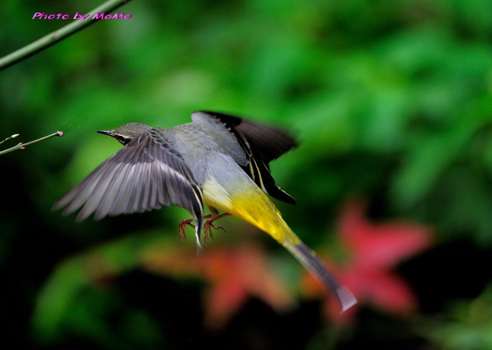 http://i.dcview.tw/gallery/201201/d595b36dc62753a8f1d4305a5da25fc0.jpg