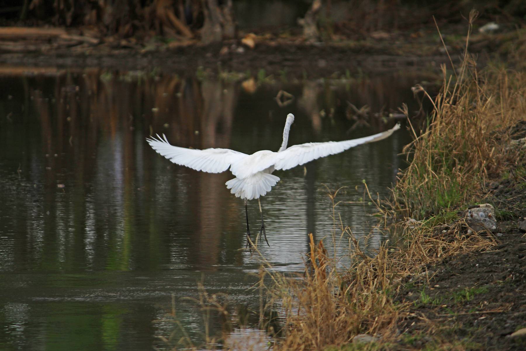 http://i.dcview.tw/gallery/201201/db14d34888309bf7857966eb2df21dbe.jpg