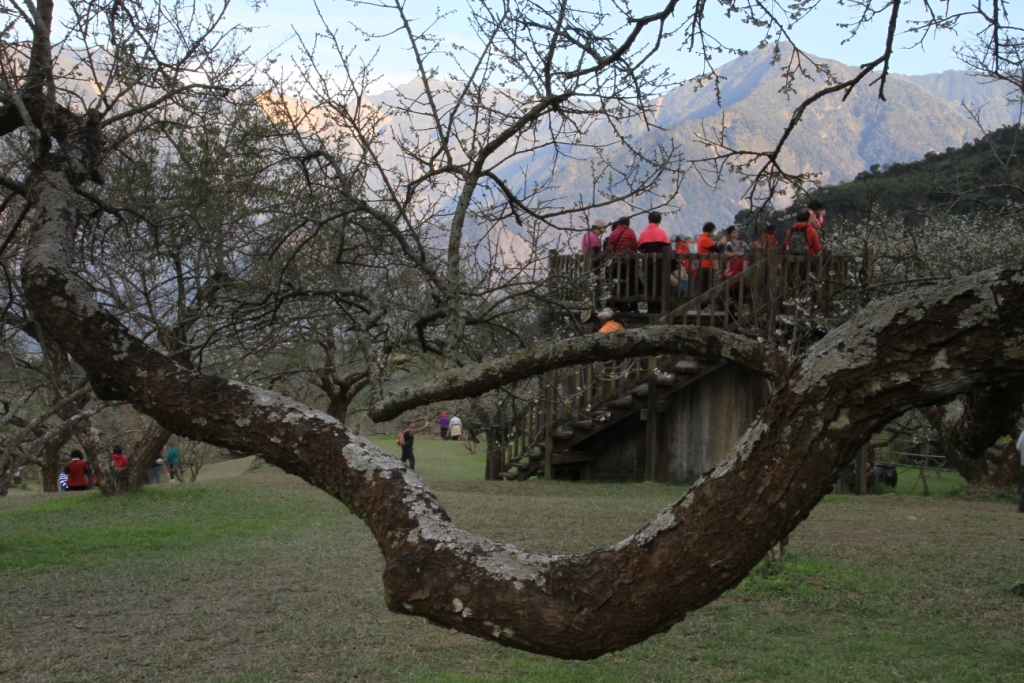 http://i.dcview.tw/gallery/201201/eedc55a0f0c91a7c962c8226544552df.jpg
