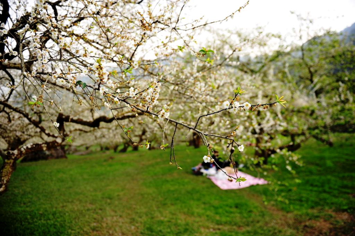 http://i.dcview.tw/gallery/201201/f0461a5096c405f28c25c84358659eb5.jpg