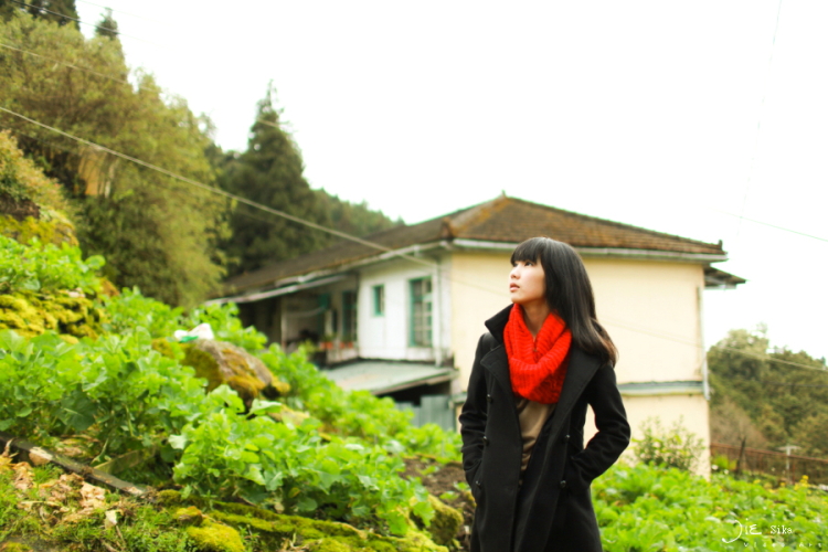 http://i.dcview.tw/gallery/201201/f7d1715922d1494b29b365cfa0976299.jpg