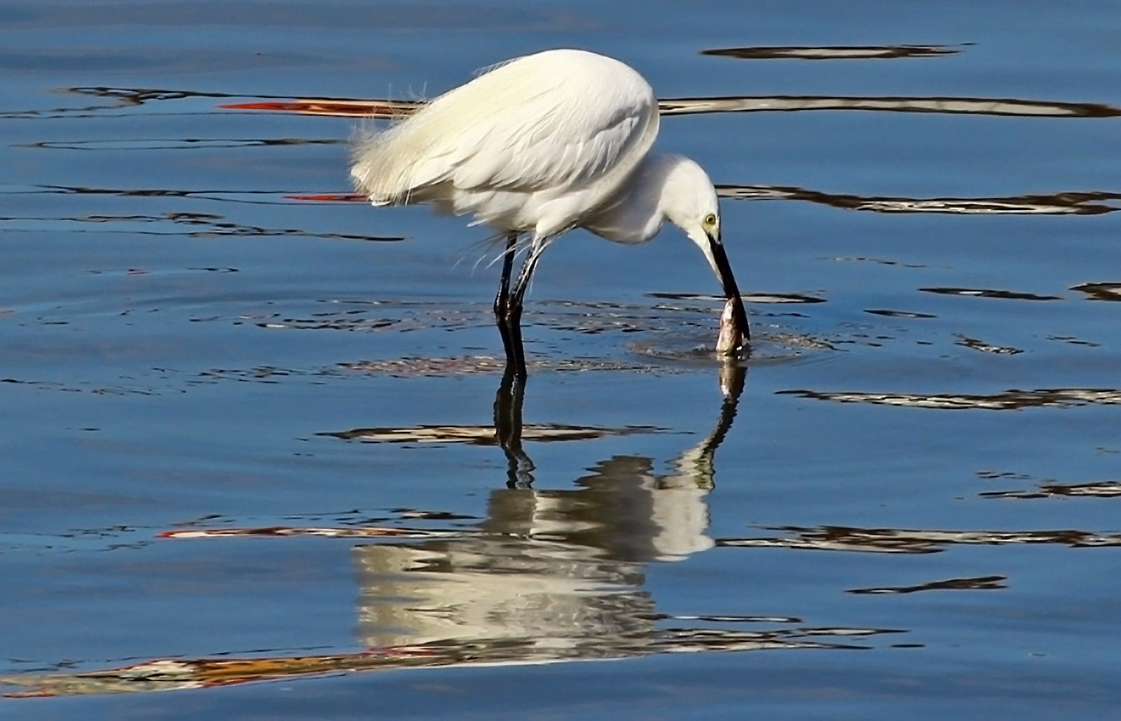 http://i.dcview.tw/gallery/201201/fbdb252ac6b6494d2735009f5645f85f.jpg