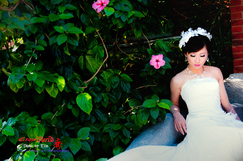 http://i.dcview.tw/gallery/201201/fbfd0194a3c8571ee3625cadbf83135a.jpg