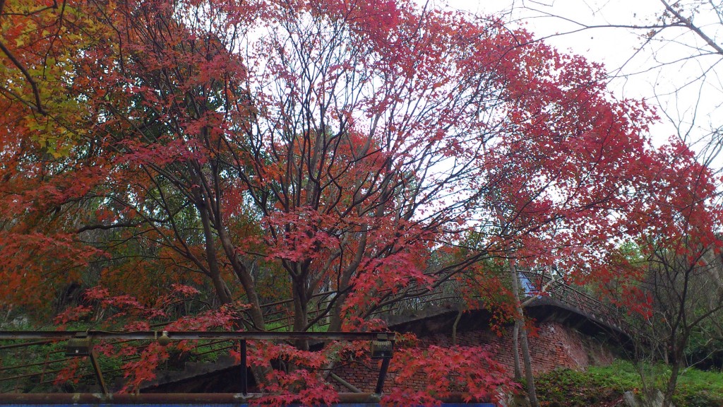 http://i.dcview.tw/gallery/201201/fdd0f09435fa531045dd35e028e114b2.jpg