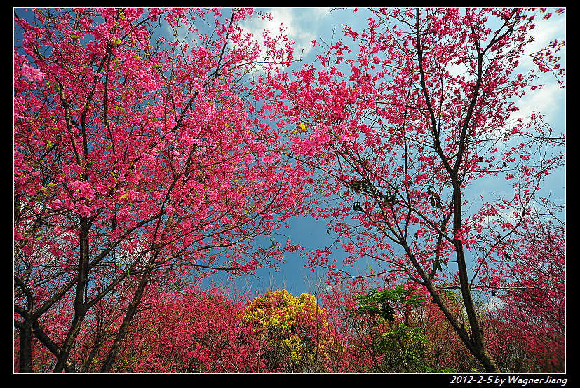 http://i.dcview.tw/gallery/201202/015772a3bcada30640963636f7a5ba43.jpg