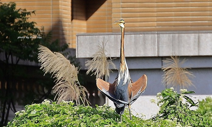 http://i.dcview.tw/gallery/201202/03b8699876e59105f315cb494f46f37c.jpg