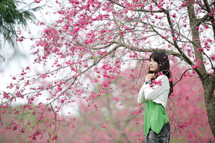 http://i.dcview.tw/gallery/201202/05588ef7ffc5c454d031893f13d8565a.jpg
