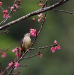 福山保證班