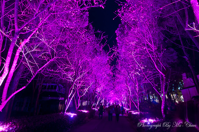 http://i.dcview.tw/gallery/201202/06632f33b267707e76f9cd279a4a3a0d.jpg