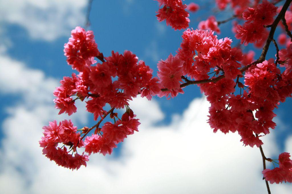 http://i.dcview.tw/gallery/201202/06b280d2f057f83b20489e34f707a97e.jpg
