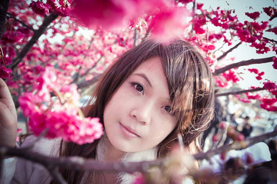 http://i.dcview.tw/gallery/201202/06bb0ff1903fa49fca4806ed7f6b2a89.jpg