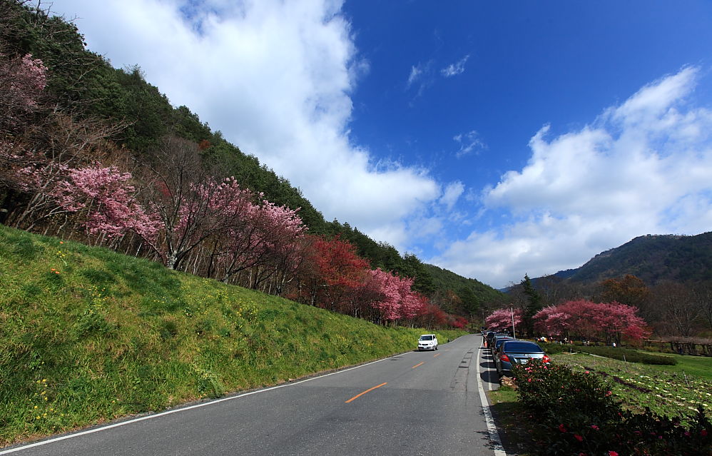 http://i.dcview.tw/gallery/201202/06c0b2ae88b13049e851ead96e24c777.jpg