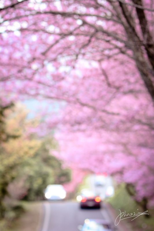 http://i.dcview.tw/gallery/201202/0874307a7fa48ae3fa499aa8b3233ddf.jpg