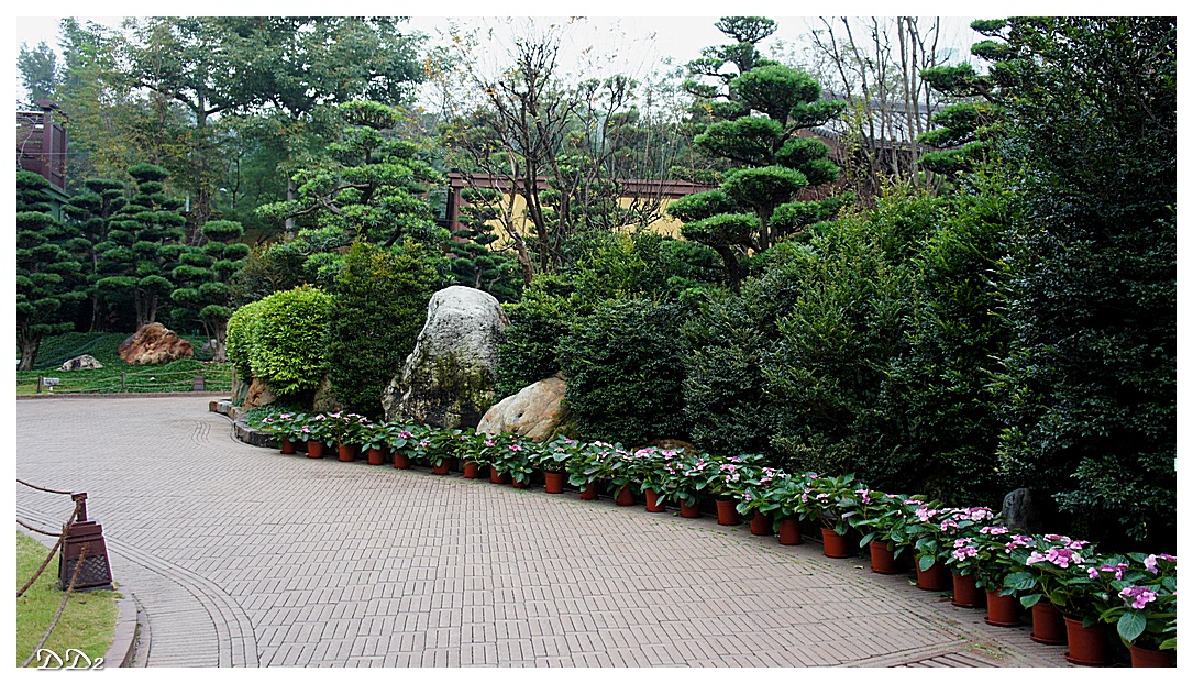 http://i.dcview.tw/gallery/201202/0881846bbd159547a5f84859cb3e97bd.jpg