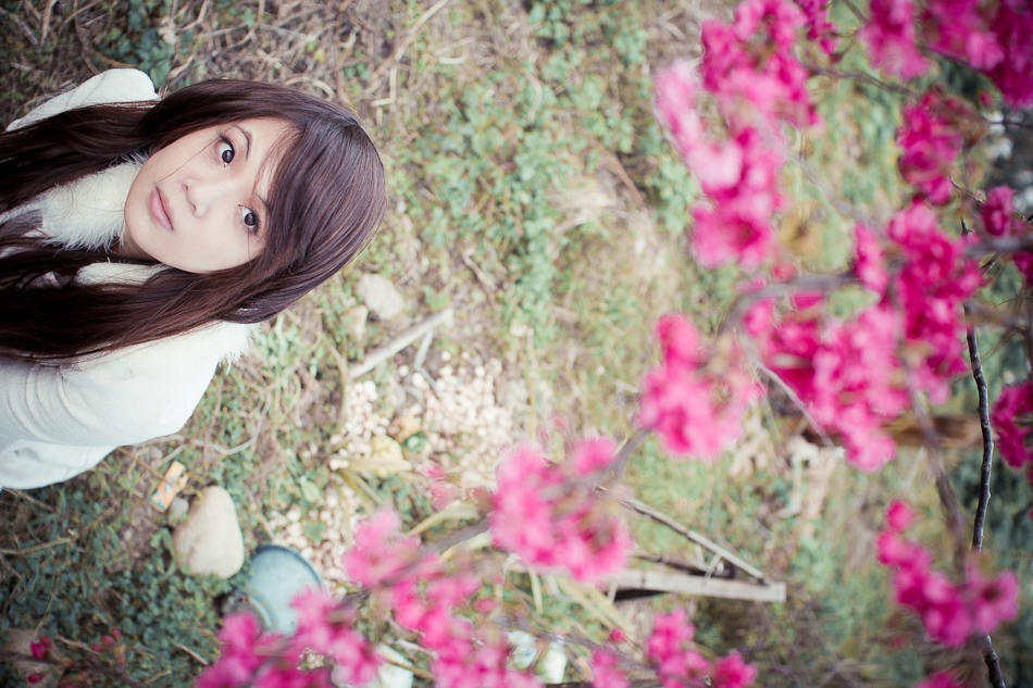 http://i.dcview.tw/gallery/201202/095673c4f87ba096a99b22f7d6cf5d12.jpg