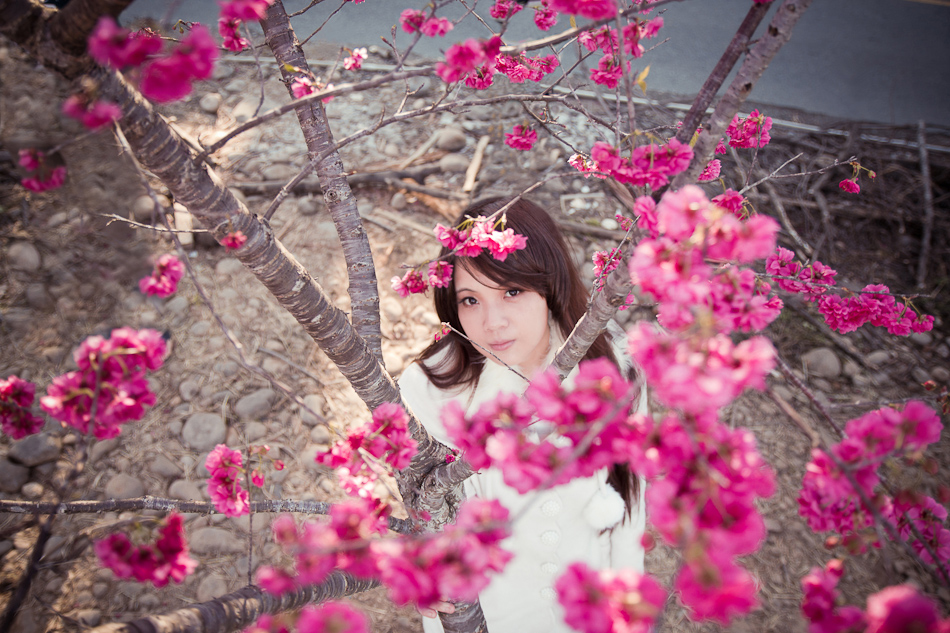 http://i.dcview.tw/gallery/201202/099f6176e11738a2341b62ac872bd19c.jpg