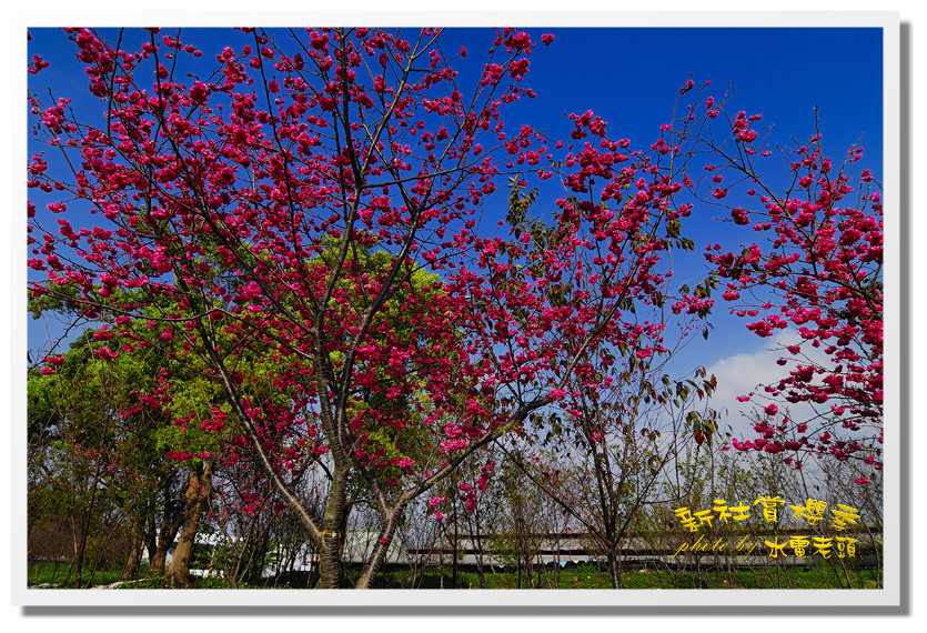 http://i.dcview.tw/gallery/201202/0ce58acf96fb94d0ea86c275885cfc35.jpg