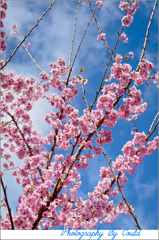 http://i.dcview.tw/gallery/201202/0d457ac882d69dcec8a5240ead857eb1.jpg