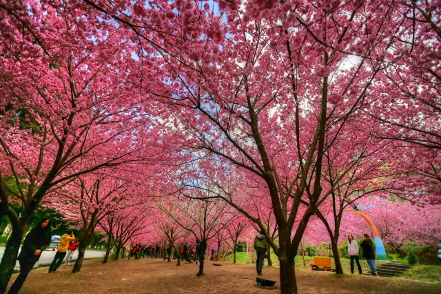 http://i.dcview.tw/gallery/201202/0ec5214723fdfe97310b6e21737a7381.jpg