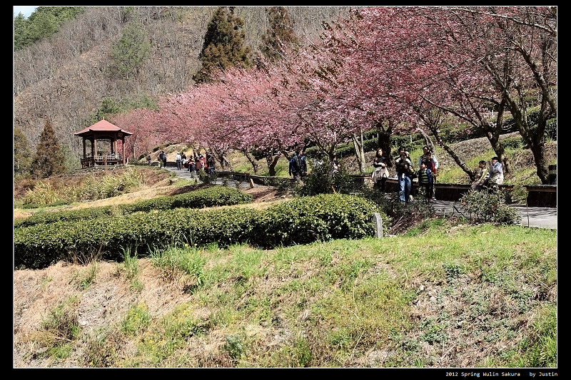 http://i.dcview.tw/gallery/201202/1351d7922aaafd68e668a7e00acc35de.jpg