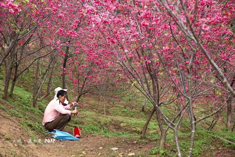 http://i.dcview.tw/gallery/201202/14d52141aaa80ca18df8874620f0282c.jpg
