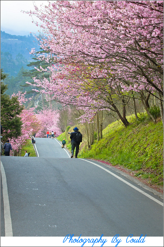 http://i.dcview.tw/gallery/201202/15cd457c8b2b94ca608a788c1892f78b.jpg