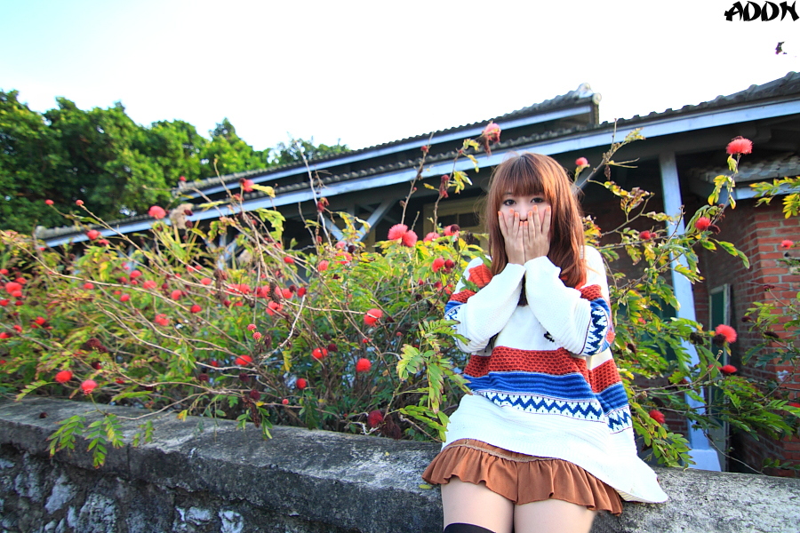 http://i.dcview.tw/gallery/201202/1614aac4bb50914fa667a6e27b4ad998.jpg