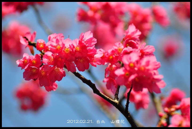 http://i.dcview.tw/gallery/201202/178a858f1b9390dfc4cf481635403bf7.jpg