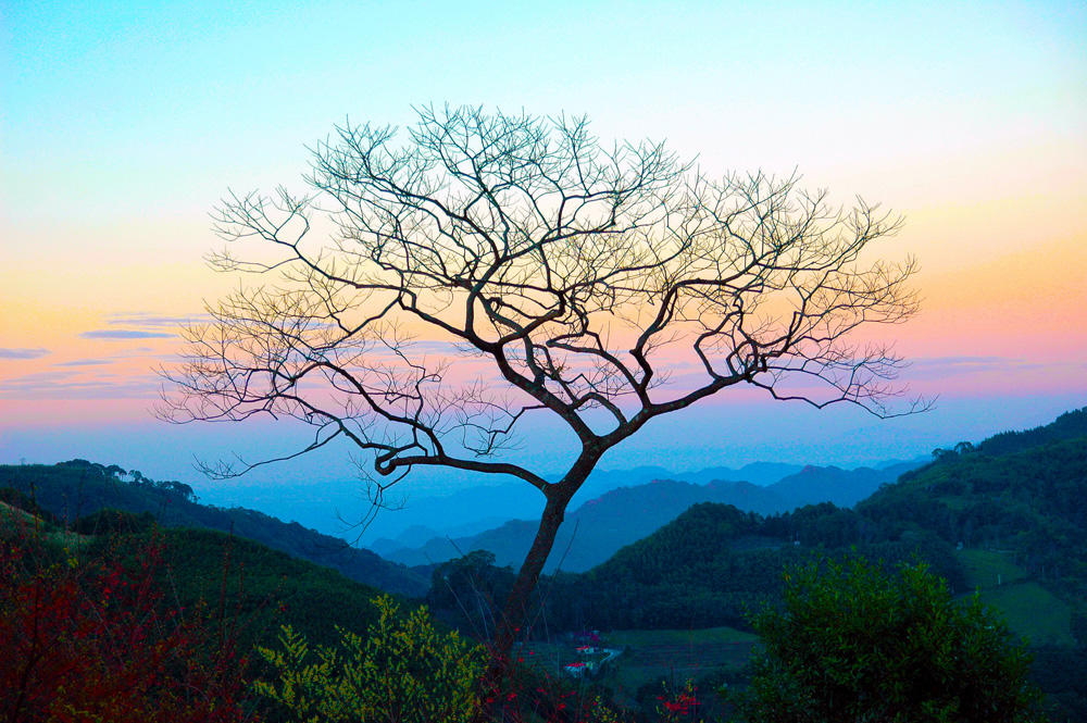 http://i.dcview.tw/gallery/201202/1803783eb2fdde6f522a4134177d6c70.jpg