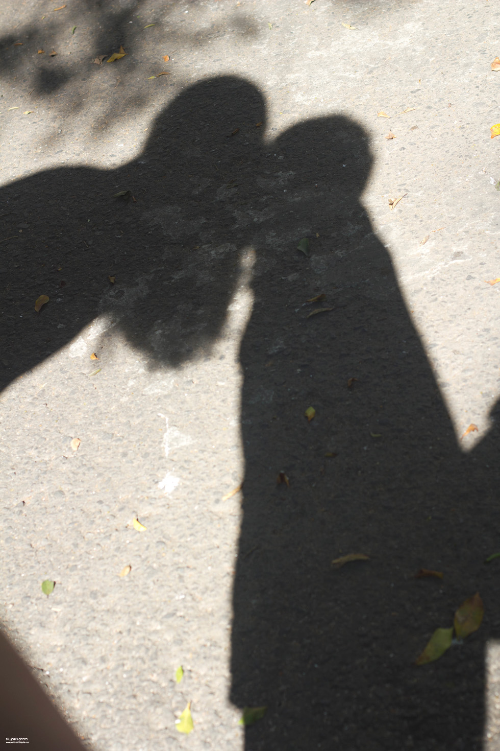 http://i.dcview.tw/gallery/201202/189c638c3883be9360de72a79cb40a68.jpg