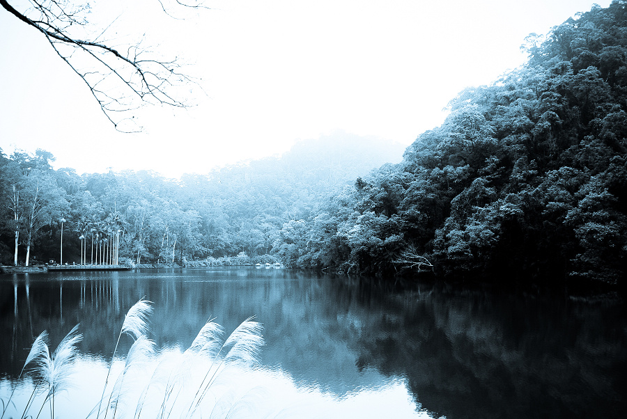 http://i.dcview.tw/gallery/201202/195bff5fc2cb6dc48e10c4b799865370.jpg