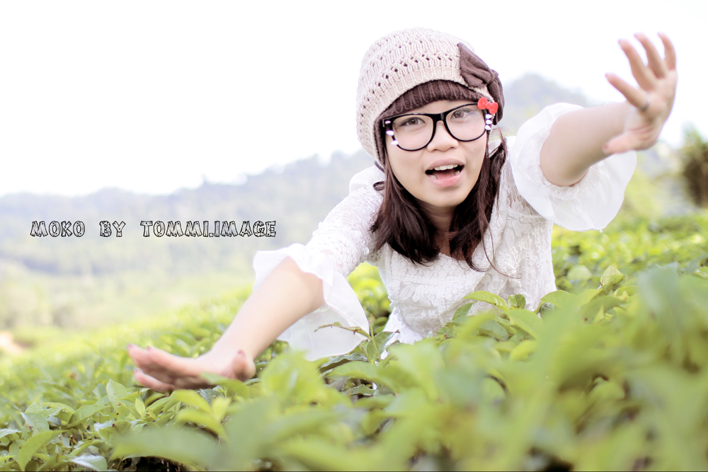 http://i.dcview.tw/gallery/201202/1af364ffc47304c14306262fa3a4903e.jpg