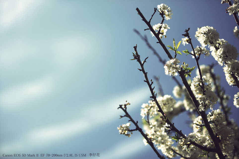 http://i.dcview.tw/gallery/201202/1d150d55667b329f4c8b5eb281e3f0b2.jpg