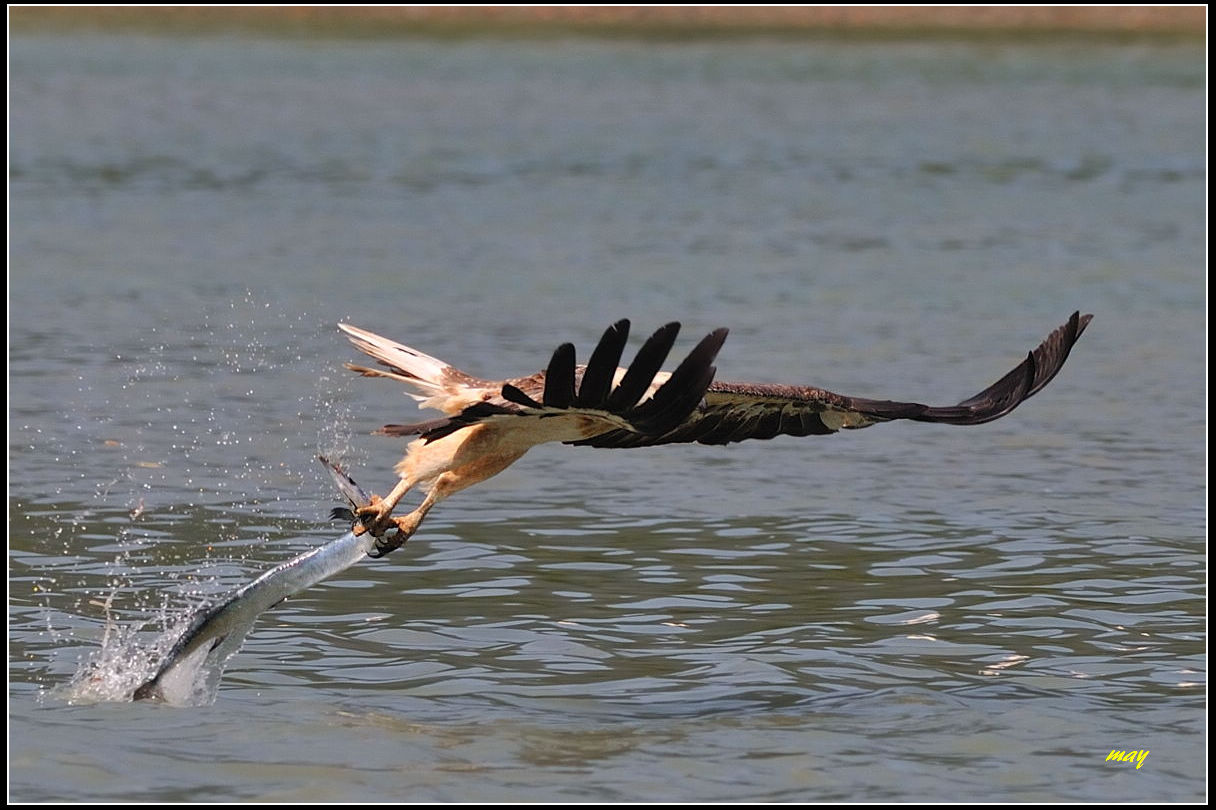 http://i.dcview.tw/gallery/201202/1dc0b93ebcadf3a45e601b6e7e2169ca.jpg