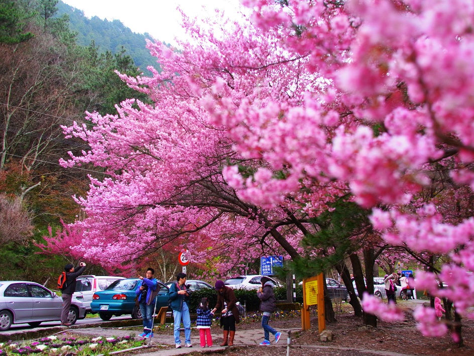 http://i.dcview.tw/gallery/201202/1ecad4690745a2d7a2fde341af3babde.jpg