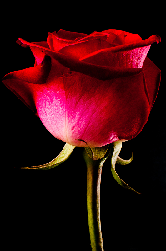 http://i.dcview.tw/gallery/201202/1f4f8fd250f49d90dd5e33f1b8311f2d.jpg