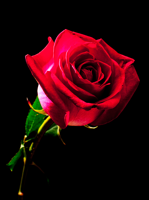 http://i.dcview.tw/gallery/201202/22ace467f5851db9e5fe5b16c5cf375e.jpg