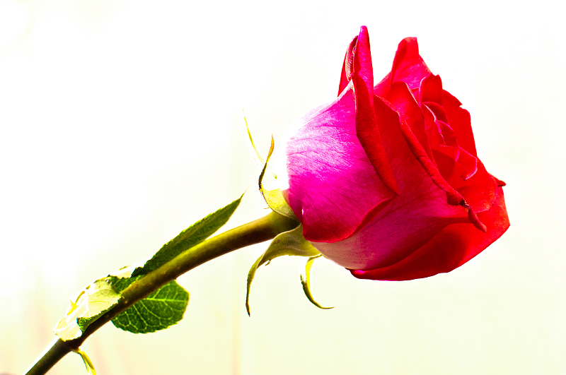 http://i.dcview.tw/gallery/201202/238ea7b0598ae228f534c4412763fbcc.jpg