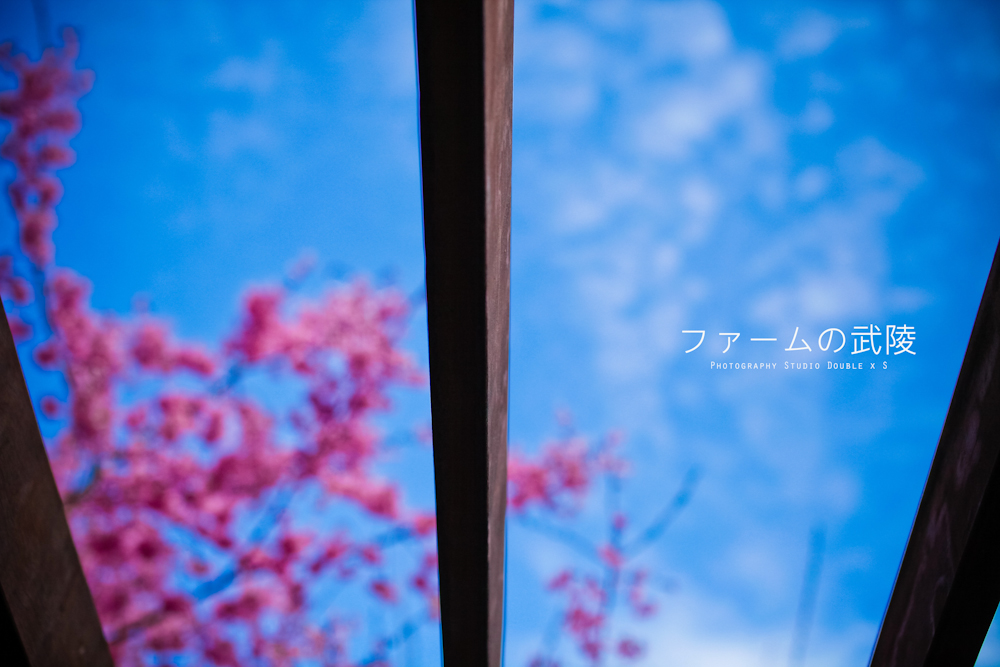 http://i.dcview.tw/gallery/201202/2428f3910614835b77e7bf29de2f7162.jpg