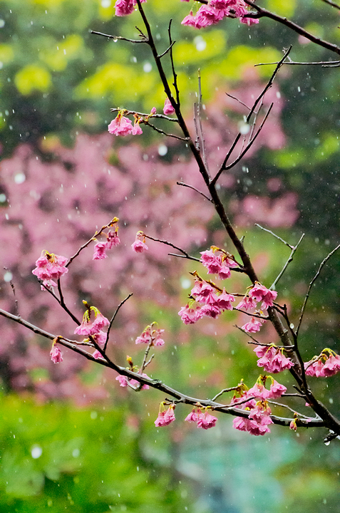 http://i.dcview.tw/gallery/201202/2609277af36a1762777901967fc6b4cd.jpg