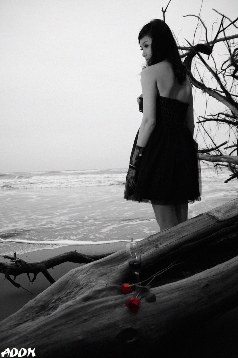 http://i.dcview.tw/gallery/201202/26fb5dd363ef7574fa317fb0934a975d.jpg