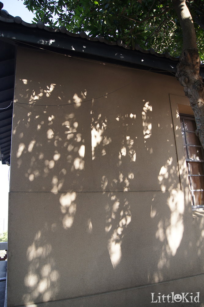 http://i.dcview.tw/gallery/201202/28c00291a84b4c1d232ace5c8a44f450.jpg