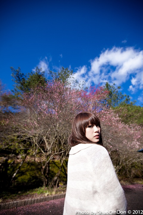 http://i.dcview.tw/gallery/201202/2acac9b9bca5684d0dbdad19320c6910.jpg