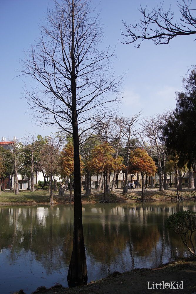 http://i.dcview.tw/gallery/201202/2db0a65bc941dca4666113bab3956866.jpg