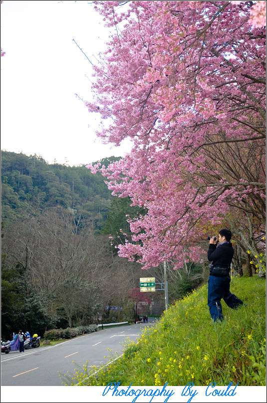 http://i.dcview.tw/gallery/201202/2fe80a65b6bf6ddb8bfda456d1e714ba.jpg